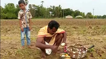 Akshaya Tritiya Marks Initiation Of Season's Agriculture Works, Chandan Yatra & Rath Construction