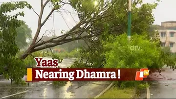 Cyclone Yaas is 70 Kms Away From Dhamra: IMD Update