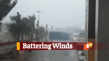 Strong Winds Batter Dhamra As #CycloneYaas Landfall Draws Close