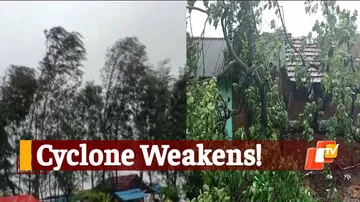 #CycloneYaas Weakened, But Strong Winds Still Prevail In Odisha's Nilagiri: SRC