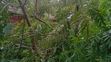 Very Severe Cyclone Yaas Has Lowest Wind Speed Since 1999, Monsoon Odisha Onset To Delay
