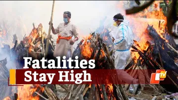 Odisha COVID19 Update: State Reports 33 Deaths In 24 Hours