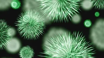 Covid Lockdowns Reduced Bacterial Diseases Spread: Lancet