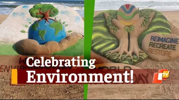 environment day