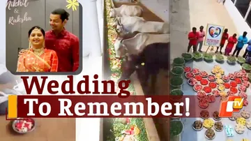 Couple Ditches Big-Fat Wedding; Feeds Animals To Celebrate Marriage