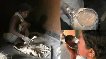 Dongrias Of Niyamgiri Quenching Their Hunger With Inedible Food!