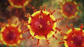 Daily COVID Cases Down 79%, Active Cases 65%: Health Ministry
