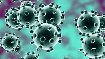 Delta Variant Spreading Worldwide At Scorching Pace: WHO Chief