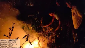 Forest Fires: Odisha Tops Country, 5-years Losses Yet To Be Assessed