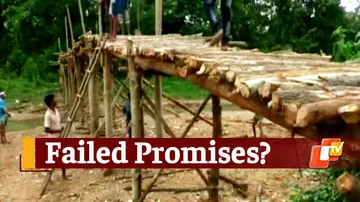 Odisha Villagers Build Bridge On Their Own As Promises Remain Unfulfilled