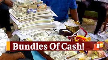 Huge Cash & Property Found From Odisha Govt Official During Vigilance Raid