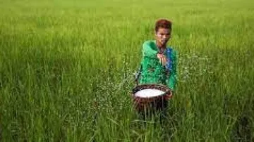 Odisha Flags Concerns Over Short Supply Of Fertilizers, Seeks Early Solution