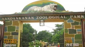 Nandankanan Zoo Reopening From August 3, Here Are The Guidelines