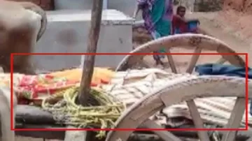 Dead Denied Dignity: Untouched By Relatives, Body Carried On Bullock Cart In Bolangir
