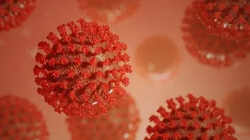 Modified Tapeworm Drug May Help Treat COVID19: Study