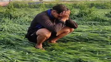 93% of Landless Farmers In Odisha Opted PM Fasal Bima Yojana