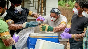 Nipah Has Any Threat To Odisha?