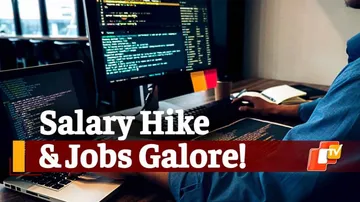 Salary in IT jobs