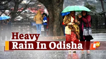 Odisha Weather, Yellow warning, Weather update