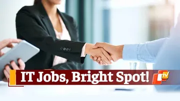 IT Job Market, Hiring, Recruitment, Employment