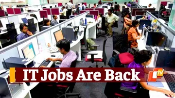 Recruitment, Employment, Jobs, TCS, Infosys, Wipro