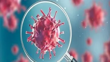 Number Of Weekly COVID-19 Cases And Deaths Continue To Decline Globally: WHO