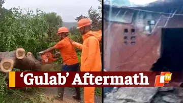 Cyclone Gulaab, Impact of Gulab, After Effects