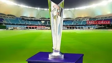 T20 World Cup: ICC Seeks Probe Into Crowd Behaviour In Dubai