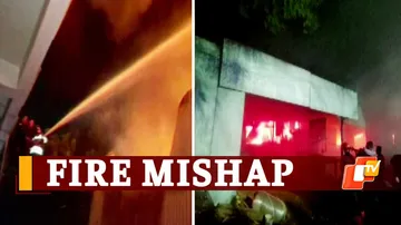 Fire Breaks Out At Timber Factory In Gujarat