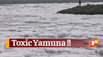 Toxic Foam Floats On Yamuna 