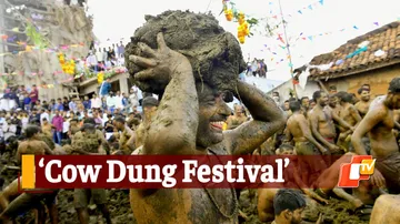 Cow Dung Festival, Gorehabba, Gumata Pura, Karnataka