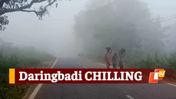 Odisha Weather, Winter Season, Daringbadi, Kashmir Of Odisha