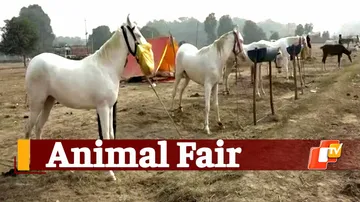 Bateswar Mela