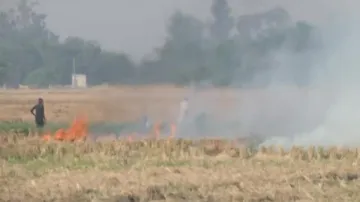stubble burning