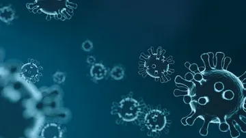 Scientists Find 18 More Viruses From China's Wet Markets