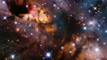 Hubble Captures Stunning Image Of Star-Forming Prawn Nebula