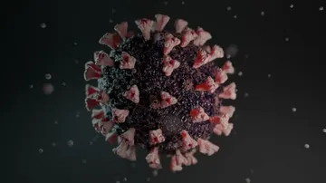 5 Contacts Of Omicron Infected Person Test Positive, Samples Sent For Genome Sequencing