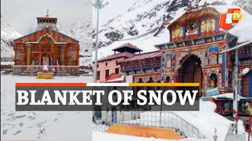 Badrinath Dham, Kedarnath Dham