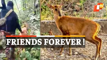 Deer's Special Bond With Jawans 