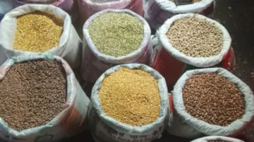 Inflation Check: Centre Extends 'Free' Import Policy For Three Pulses Till March 22