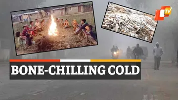 Odisha Weather, Weather Update, Cold Wave