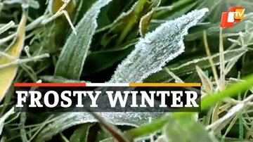 Winter in Odisha