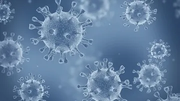 129 Deer In US Contract Covid, Infection Likely Spread From Humans: Study