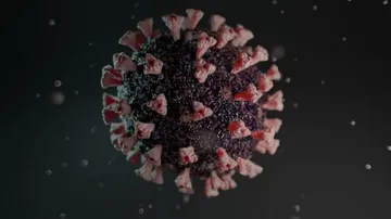 World Witnessing 4th Covid Surge: Govt Cautions People