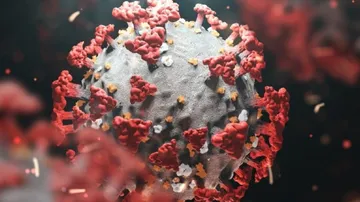 Weekend Curfew To Be Imposed In Delhi Amid Covid Surge: DDMA