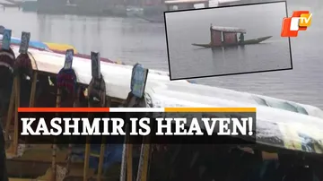 Winter In Kashmir, Dal Lake, Snowfall