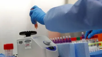 Phytochemicals In Himalayan Plant Buransh Can Fight Covid Virus: Researchers