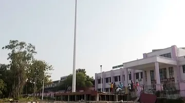 Giant Tricolour