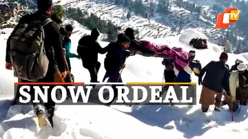 Patient Carried In Snow, Snowfall