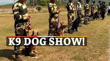 BSF Dog Show, K9 Dogs
